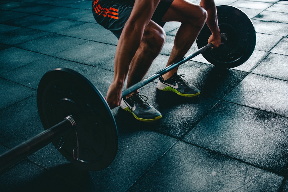 Fitness training and wellness